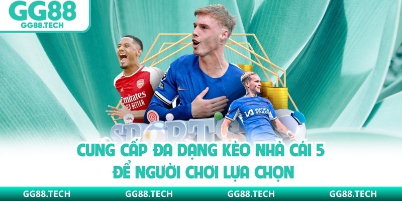 Cung cấp đa dạng kèo nhà cái 5 để người chơi lựa chọn
