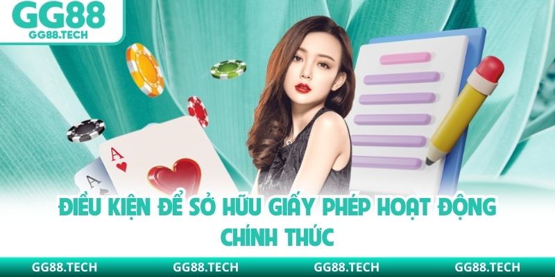 Điều kiện để sở hữu giấy phép hoạt động chính thức